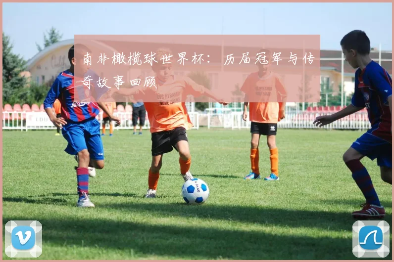 南非橄榄球世界杯:历届冠军与传奇故事回顾