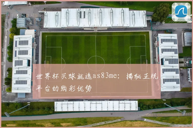 世界杯买球就选as83me:揭秘正规平台的购彩优势