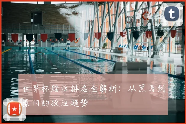 世界杯赌注排名全解析:从黑马到豪门的投注趋势