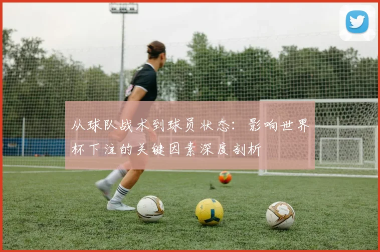 从球队战术到球员状态:影响世界杯下注的关键因素深度剖析